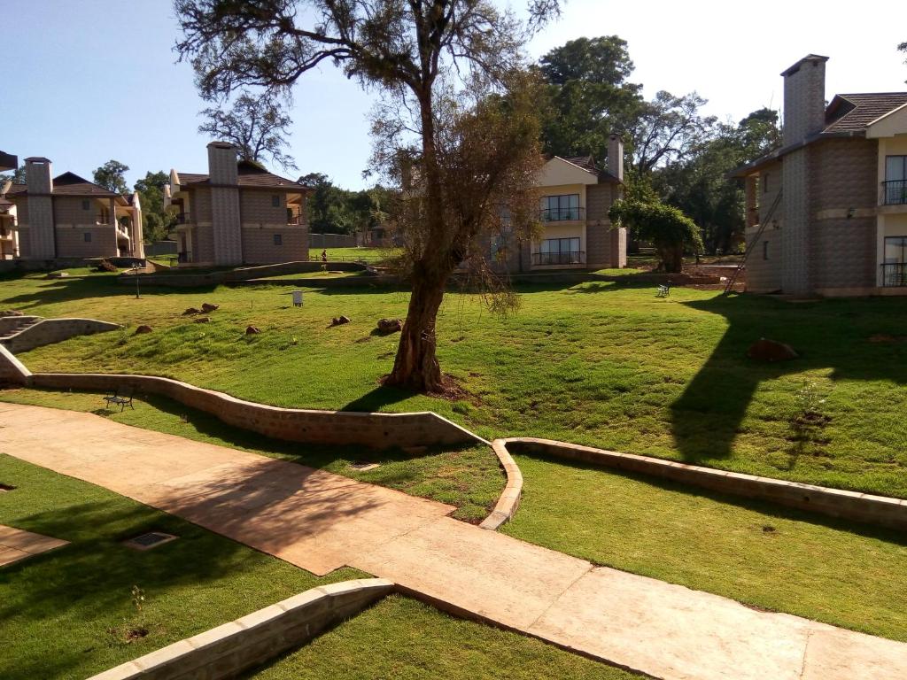 Package Image