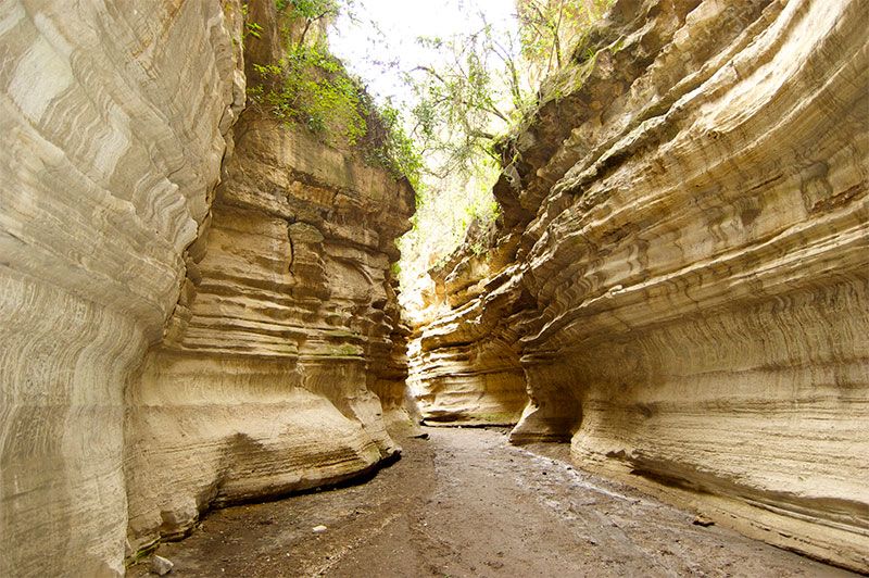 Day 1: Nairobi to Hell&rsquo;s Gate &ndash; Rift Valley Journey & Cycling Among Wildlife