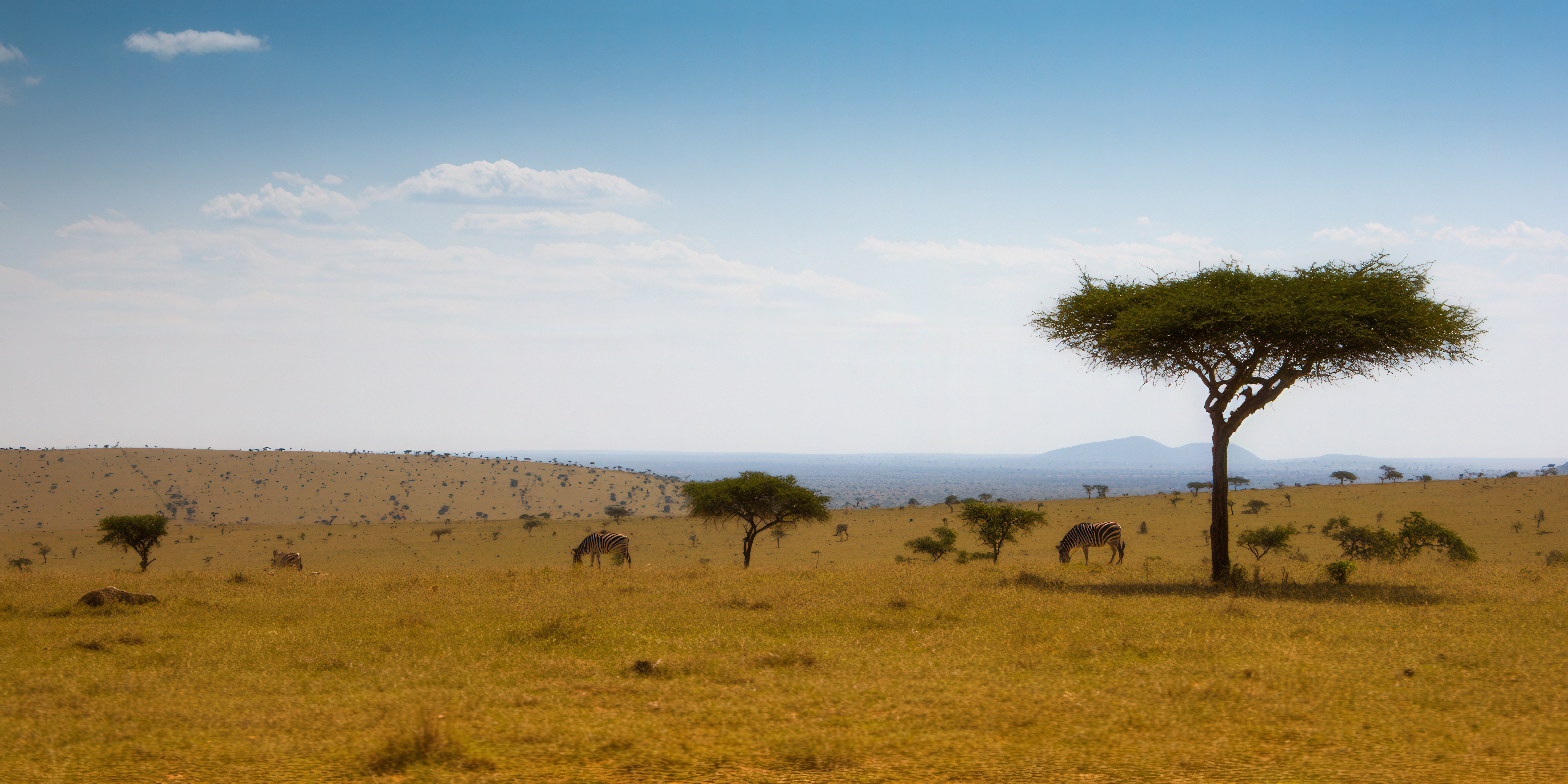 Day 1: Nairobi to Samburu Game Reserve