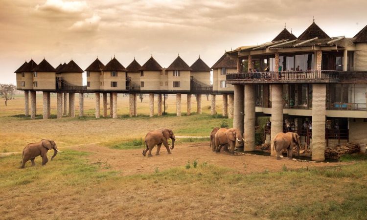 Day 3: Tsavo East &ndash; Nairobi / Mombasa (Departure)