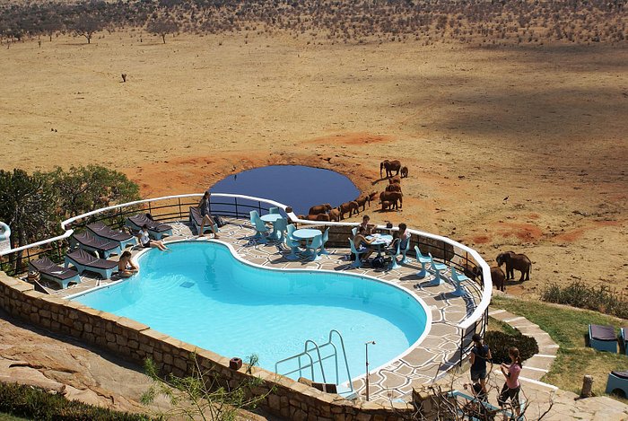 3 Days 2 Nights Tsavo East Wild Escape Safari Deals