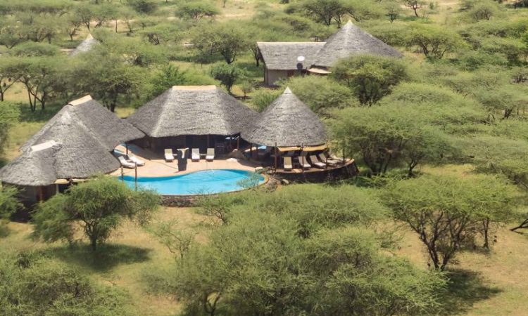 3 Days 2 Nights Tsavo West Festive Season Safari (Christmas andNew Year Special)