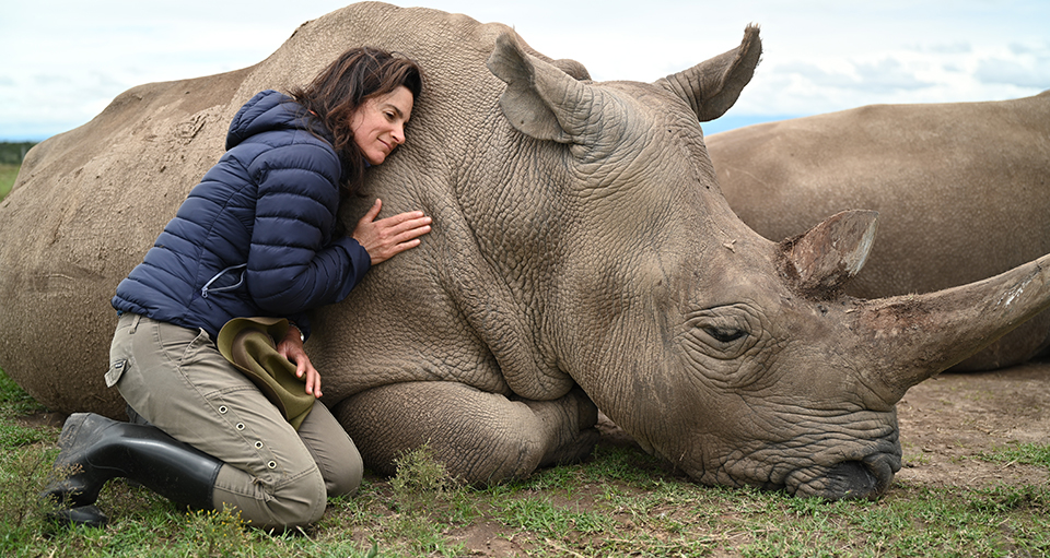 3 Days Olpejeta Festive Safari Getaway Deals