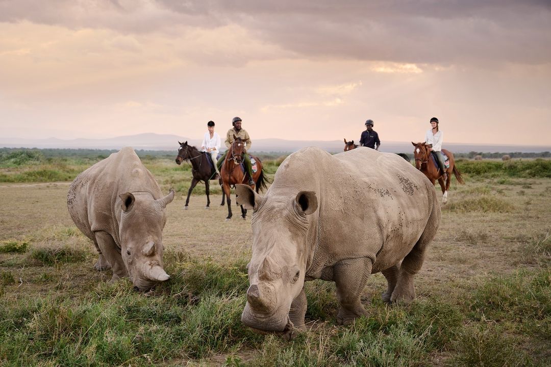 Day 1: Arrival and Evening Game Drive