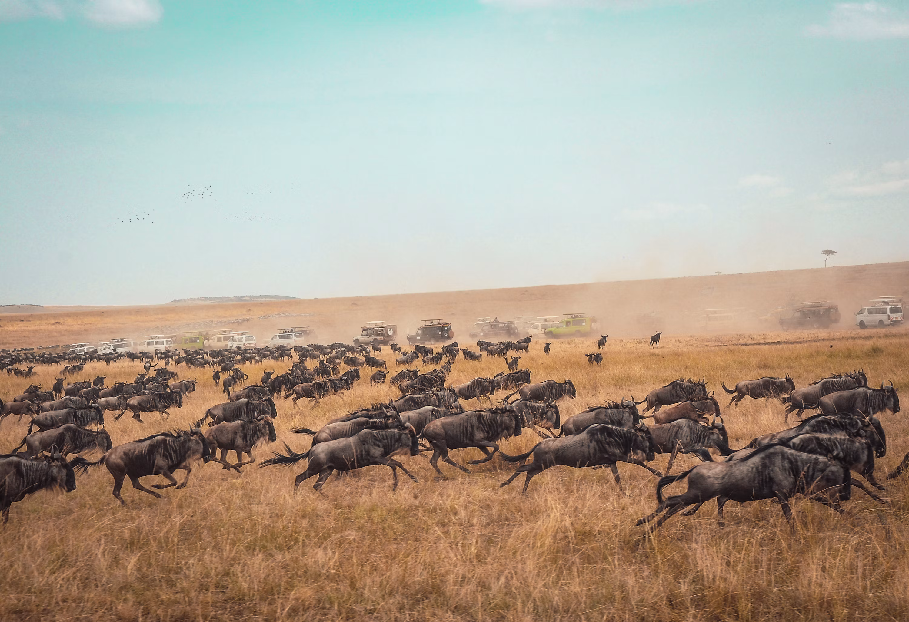 Day 2: Nairobi &ndash; Great Rift Valley &ndash; Maasai Mara