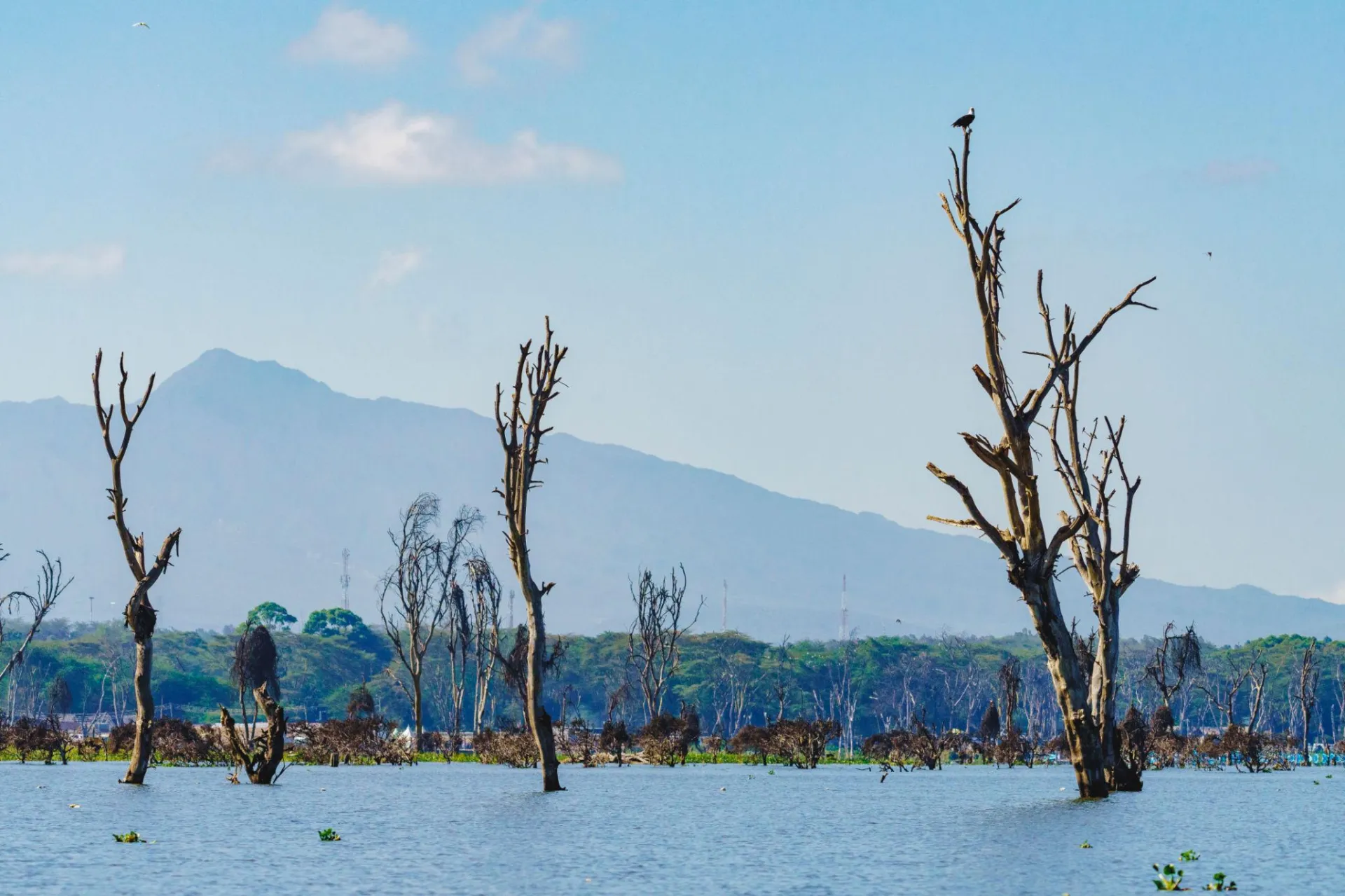 5 Days Kenya Budget Safari – Nairobi, Maasai Mara & Lake Naivasha photo 4