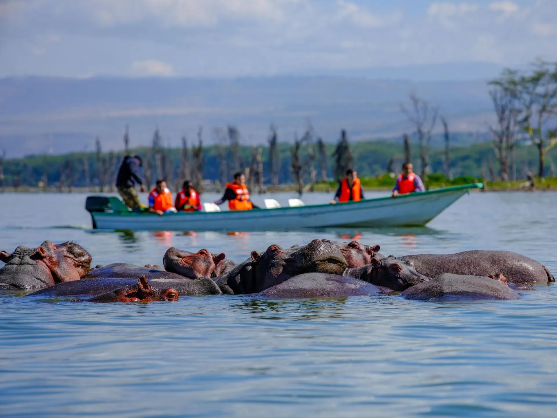 5 Days Kenya Budget Safari – Nairobi, Maasai Mara & Lake Naivasha photo 5