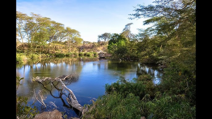 Day 3: Tsavo West &ndash; Nairobi (Scenic Return Journey)