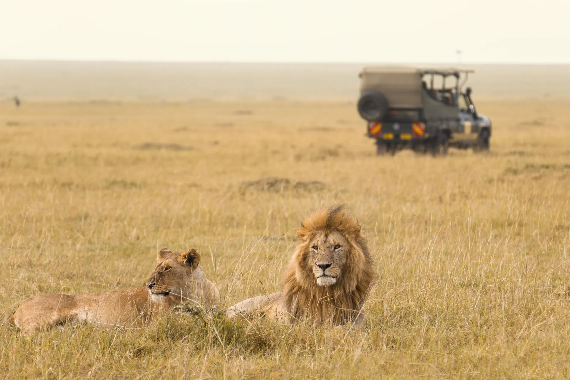 Day 1: Nairobi to Maasai Mara &ndash; Journey into Kenya's Premier Safari Country