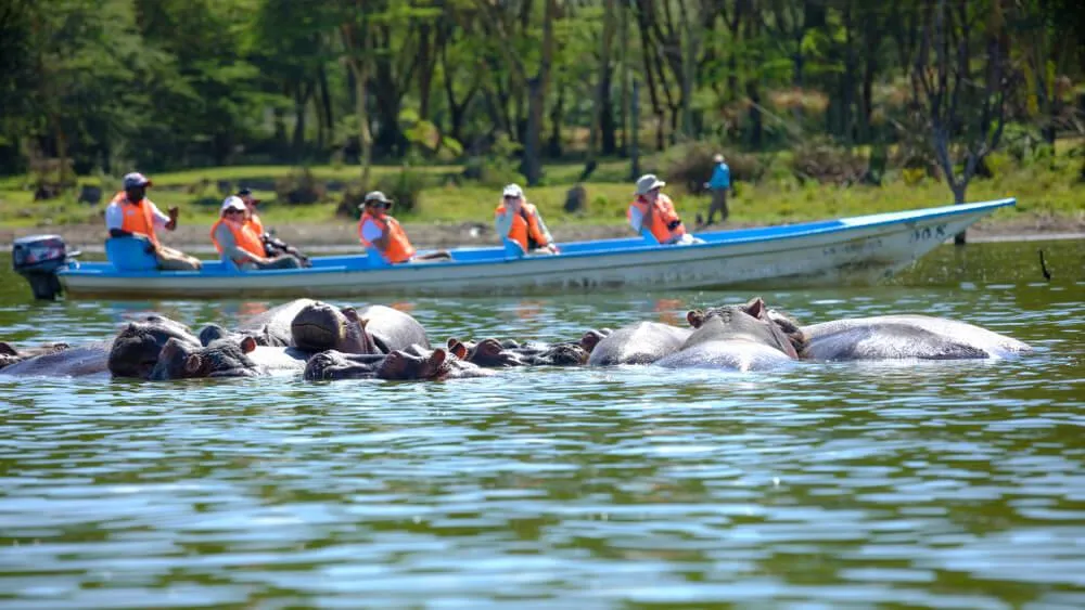 7 Days Kenya Mid-Range Safari – Maasai Mara, Lake Nakuru, Lake Naivasha & Amboseli photo 3