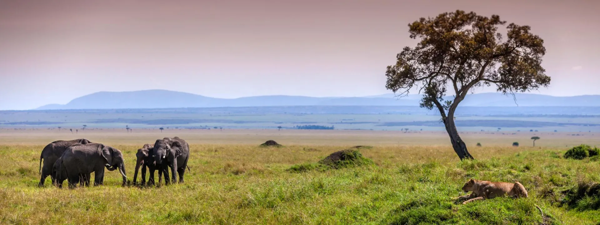 Day 1: Nairobi &rarr; Maasai Mara National Reserve | Great Rift Valley & Afternoon Game Drive