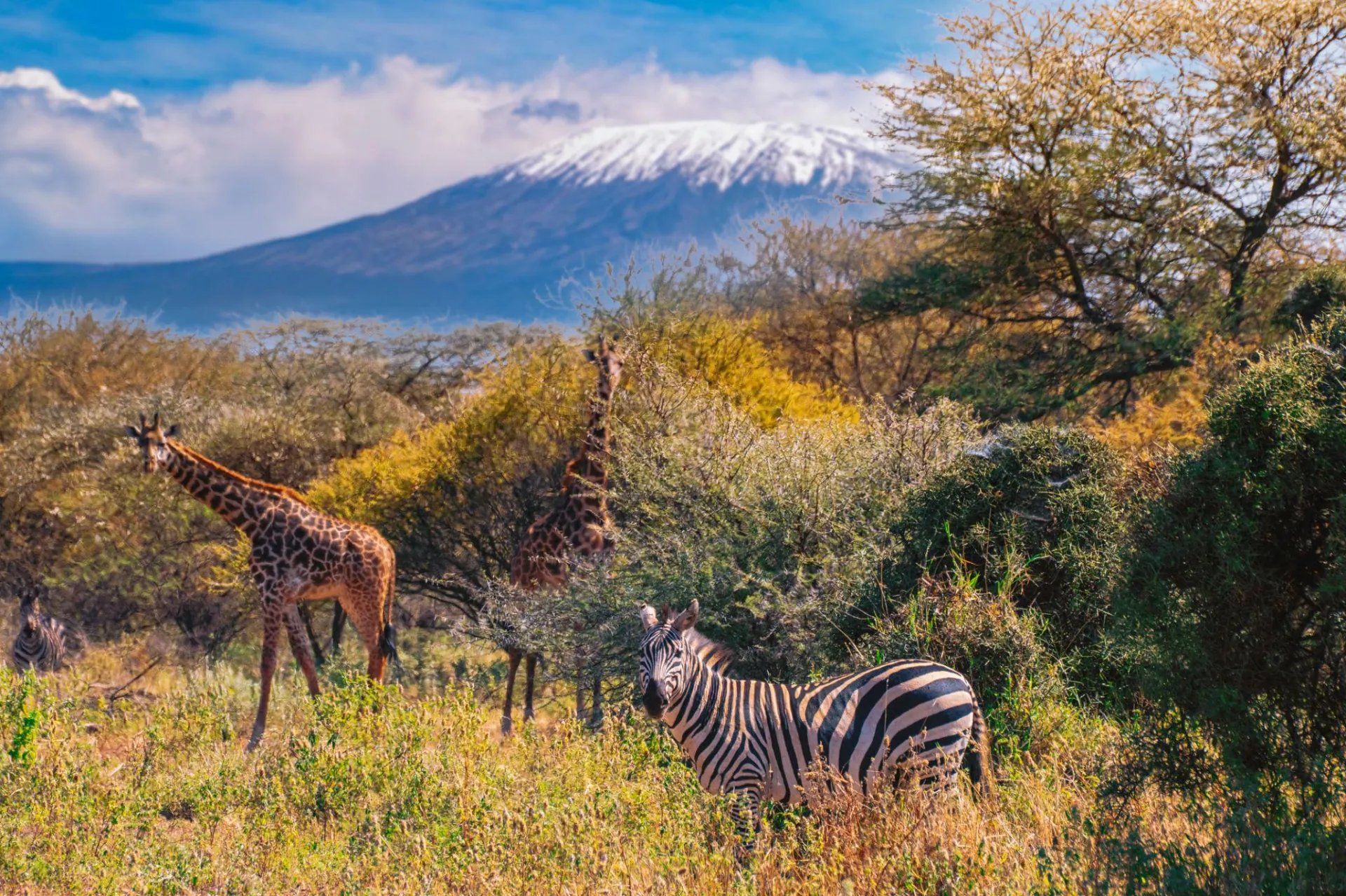 Day 5: Lake Naivasha &rarr; Amboseli National Park | Scenic Drive & Afternoon Safari