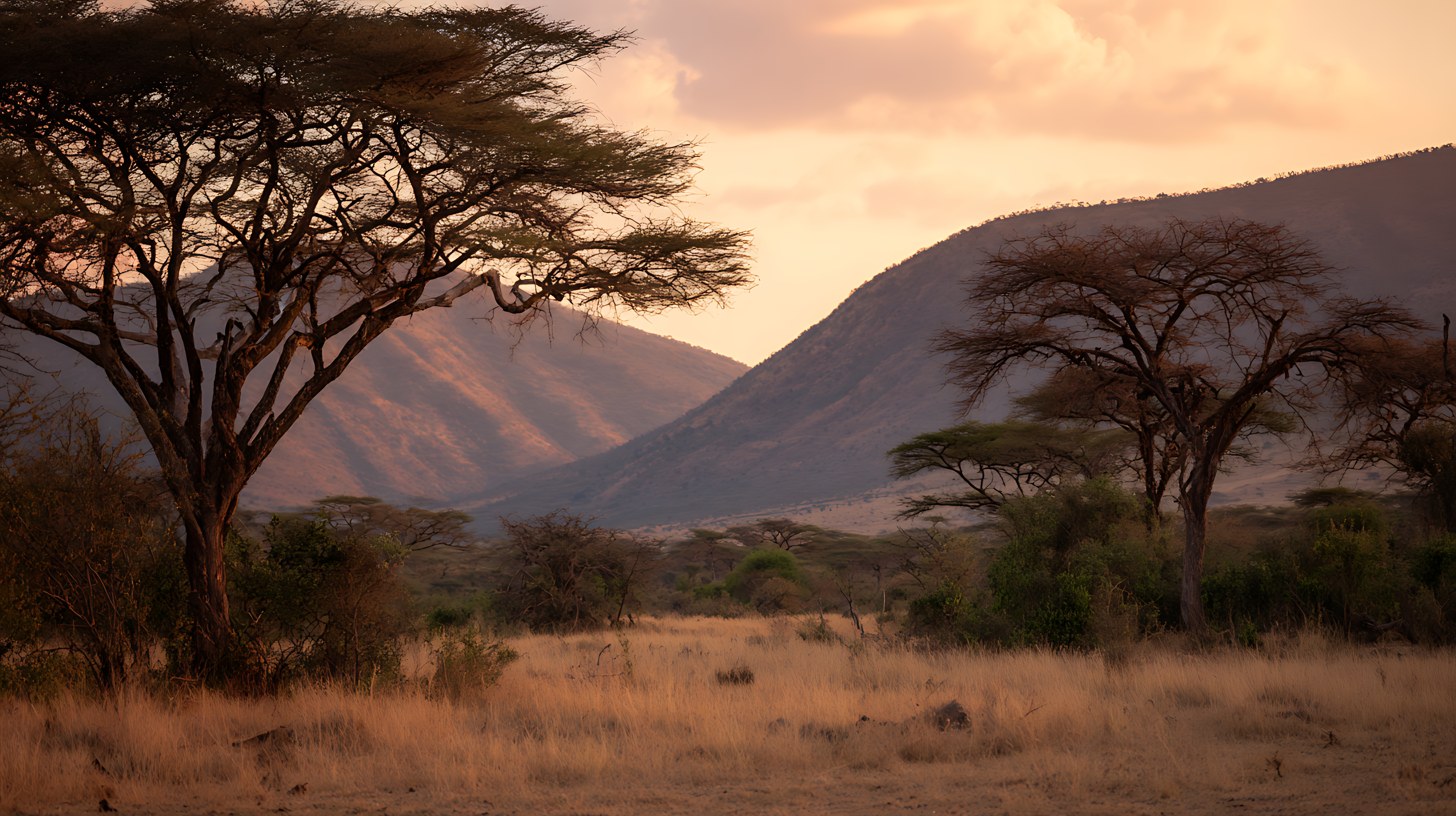 3 Days 2 Nights Samburu Safari Deals