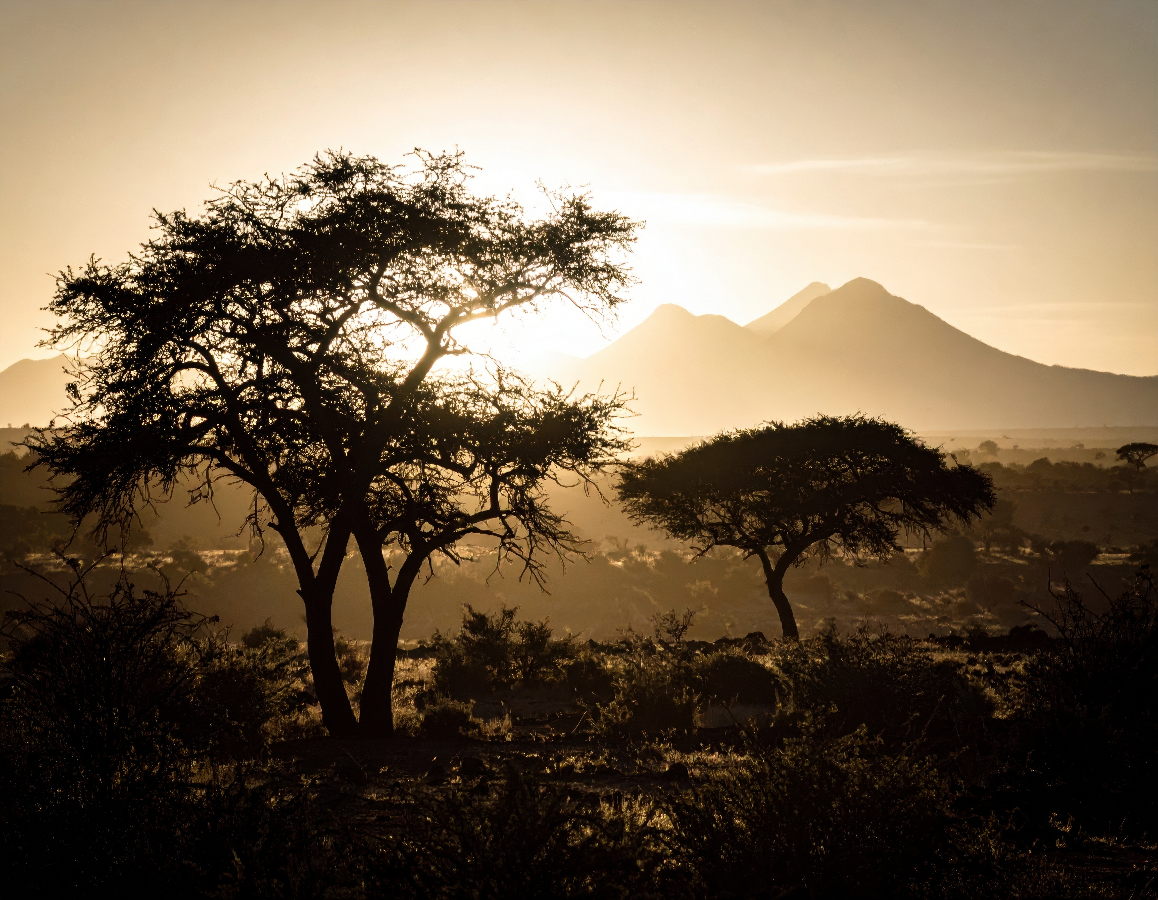 Day 3: Samburu &ndash; Nairobi