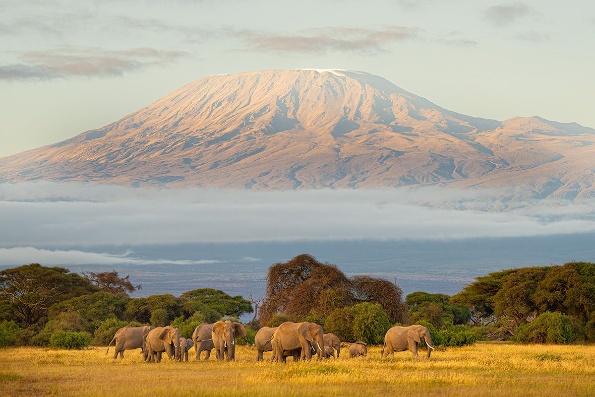 Amboseli National Park Day trip Itinerary