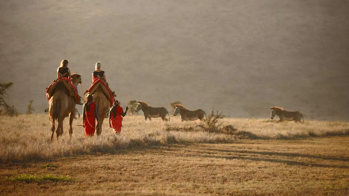3 Days Lewa Safari Holiday Deals