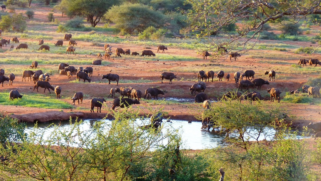 Day 3: Tsavo West &ndash; Nairobi