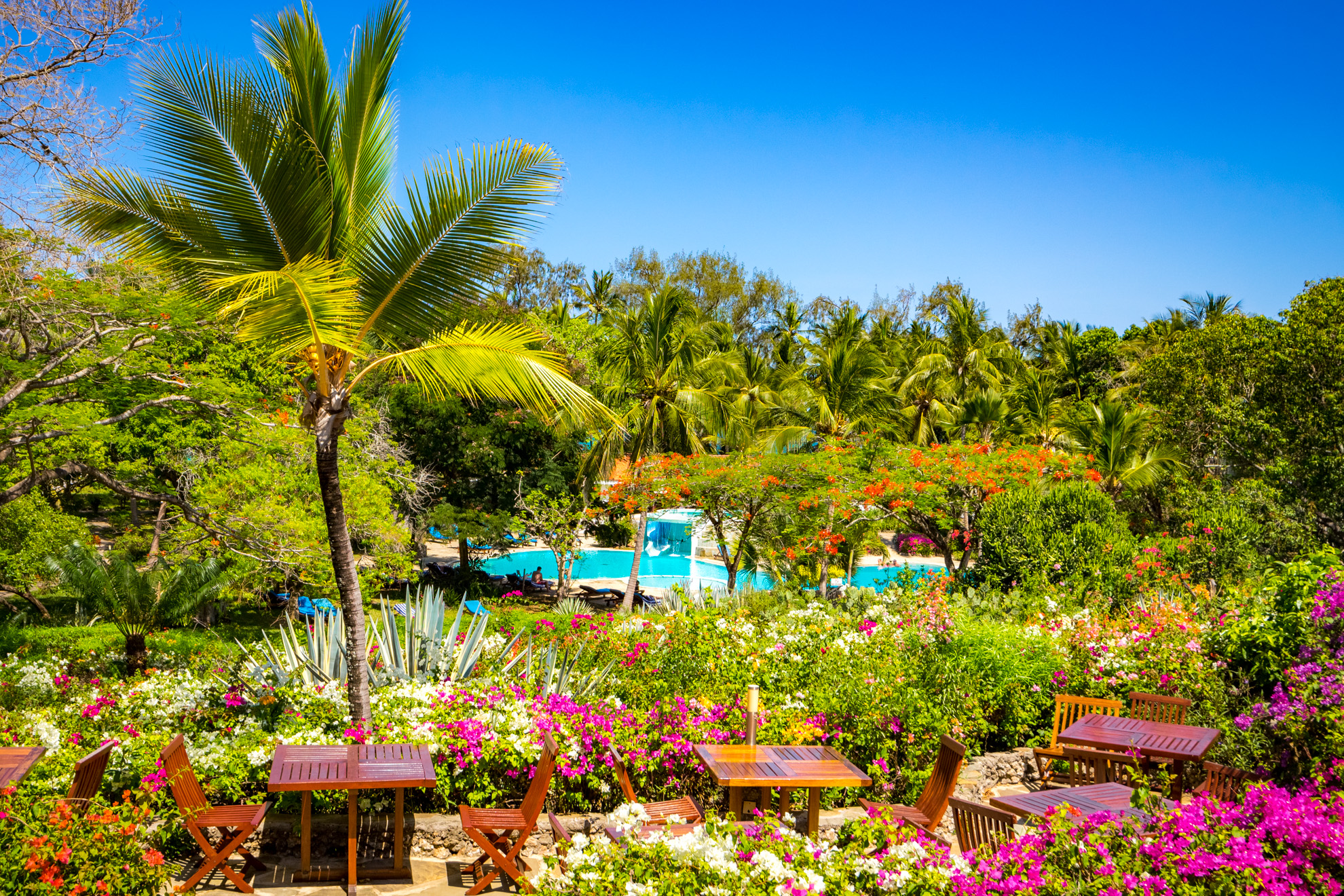 Diani Sea Resort photo 3