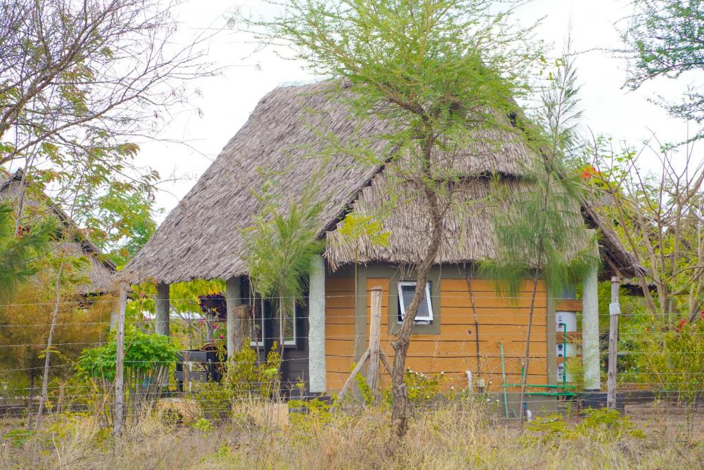 Eliata Bush Camp photo 2