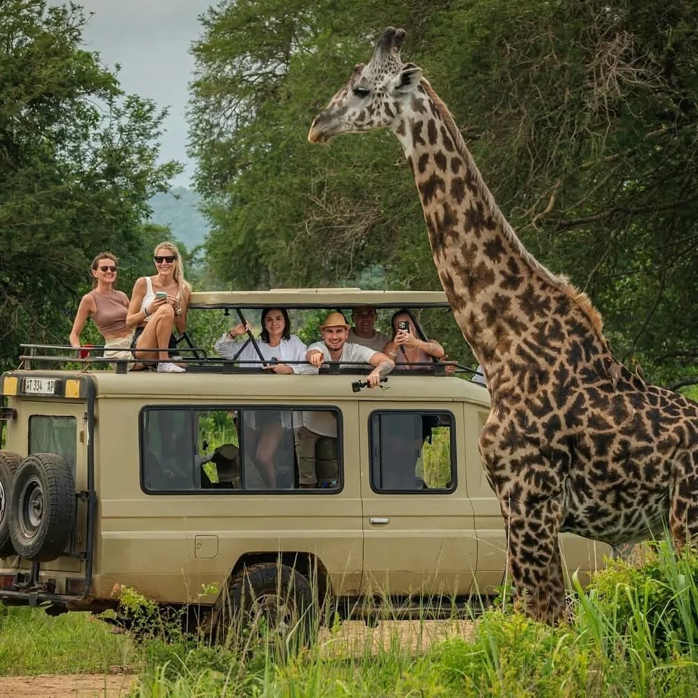 Day 1: Nairobi to Lake Nakuru &ndash; Scenic Rift Valley Journey & Afternoon Game Drive