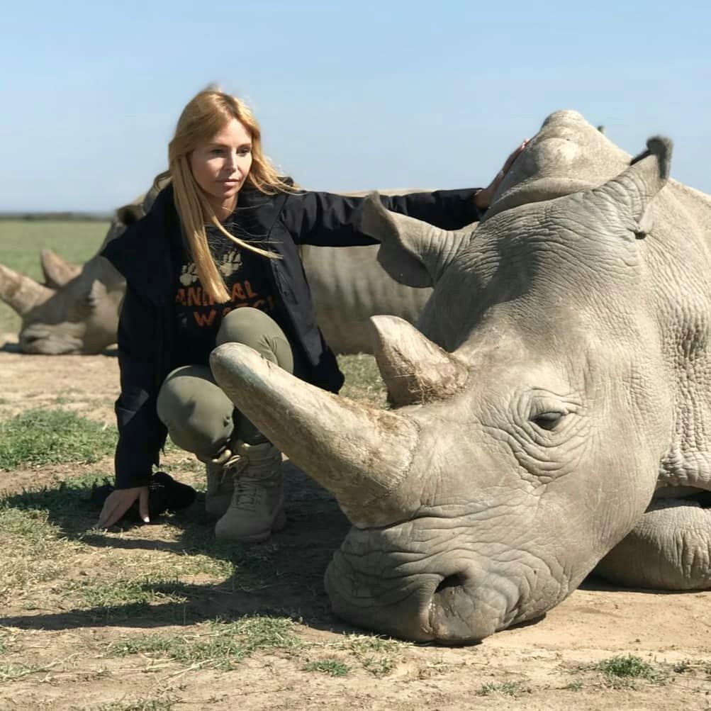 Ol Pejeta Wildlife Sanctuary Day Trip Safari Tour