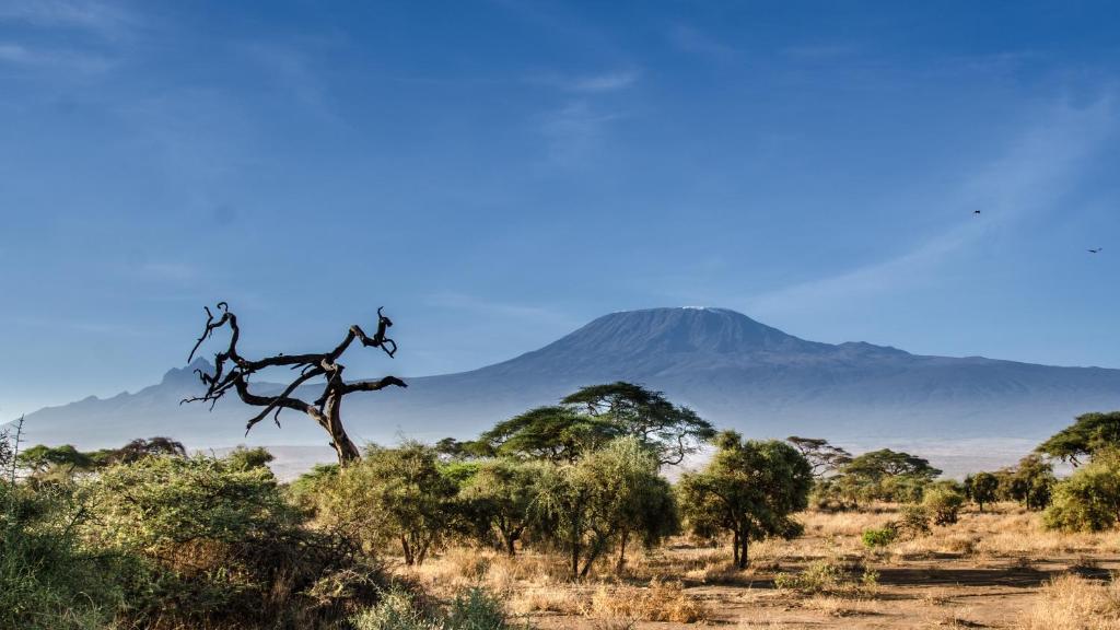 Sentrim Amboseli photo 5
