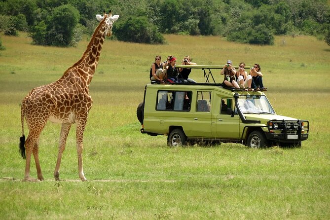 How to Experience the Maasai Mara on a Budget
