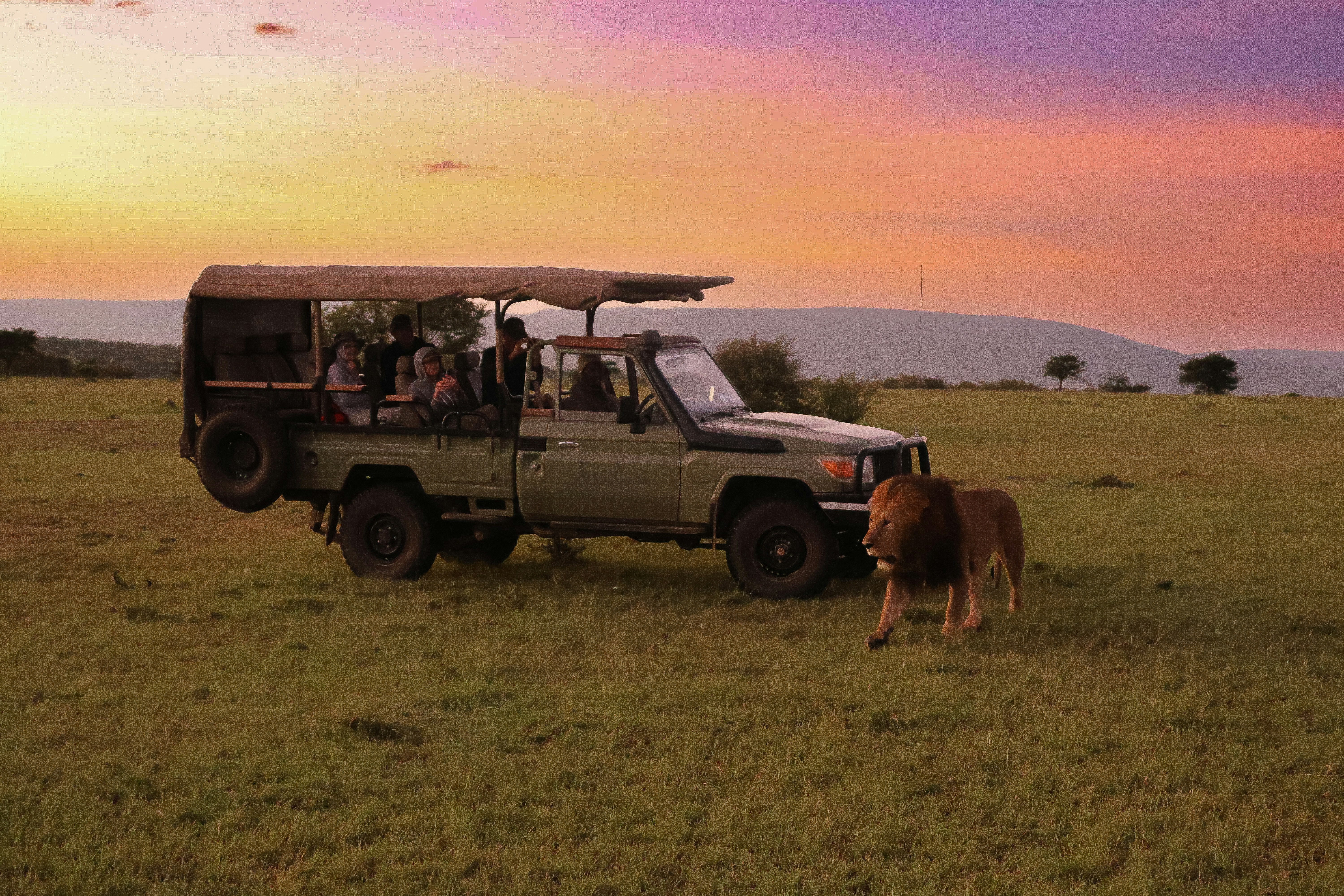 Top 5 Reasons Why Kenya is the #1 Safari Destination in Africa